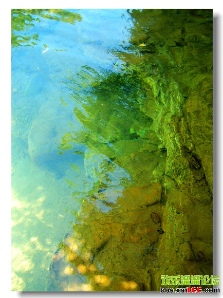 05.jpg