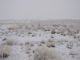 IMG_1221.jpg