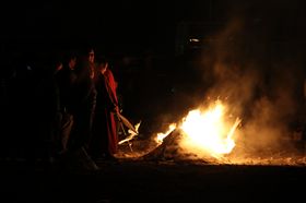 IMG_8445.jpg